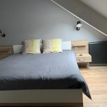 La Grande Duplex- Rue Vasselot - Calme - Standing Five Apartment Rennes